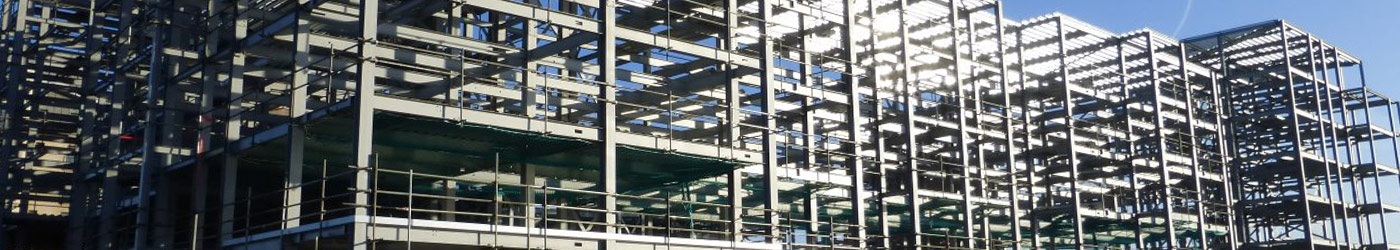 What We Do What We Do